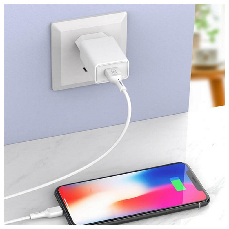 Зарядное устройство SkyDolphin SC36V (1USB, 2.4A) White (SDMZP-000118) + кабель microUSB