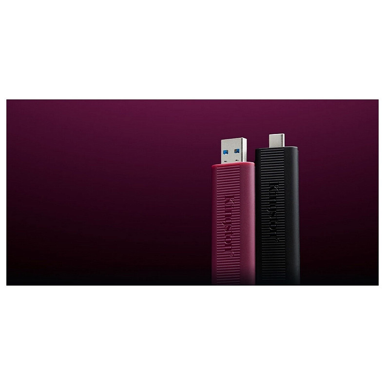 Накопитель Kingston 256GB USB 3.2 Type-A Gen 2 DT Max