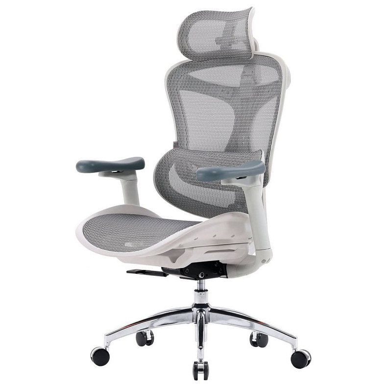 Крісло офісне Sihoo DORO C300L Mesh White