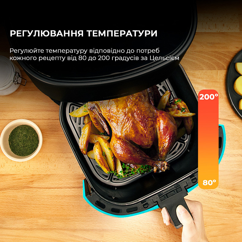 Мультипечь (аэрогриль-фритюрница) CECOTEC Cecofry Fantastik Inox 6500 Acc Kit