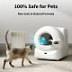 Нейтрализатор запаха Petkit Pet Odor Eliminator N60 3PCS P9224