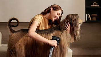 Пилосос для власників тварин: огляд Dreame Z40 TangleCut Flex+