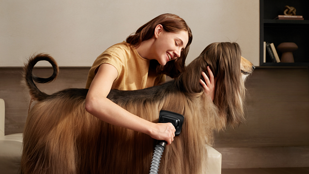 Пилосос для власників тварин: огляд Dreame Z40 TangleCut Flex+