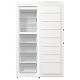 Морозильна камера Gorenje FN 619 EAW6