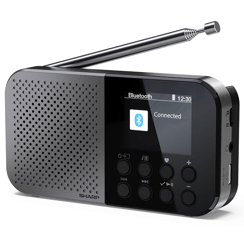 Радіоприймач Sharp DR-P520 Storm Grey