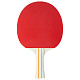 Ракетка для настольного тенниса Stiga Evolve FL (1211-8318-01)