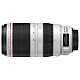 Объектив Canon EF 100-400mm f/4.5-5.6L IS II USM