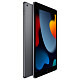 Планшет Apple A2602 iPad 10.2 (2021) Wi-Fi 64GB Space Gray