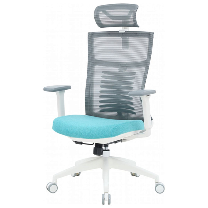 Офисное кресло OfficePro Balance OC550-W-DG-BL