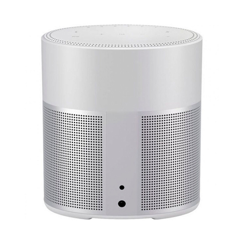 Акустическая система Bose Home Speaker 300, Silver (808429-2300)