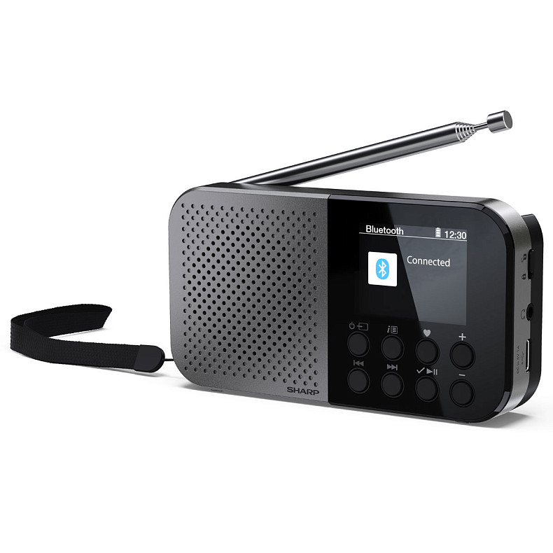 Радіоприймач Sharp DR-P520 Storm Grey