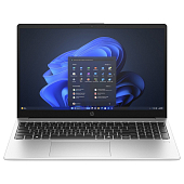 Ноутбук HP 255R G10 (B39ZDAT) Silver