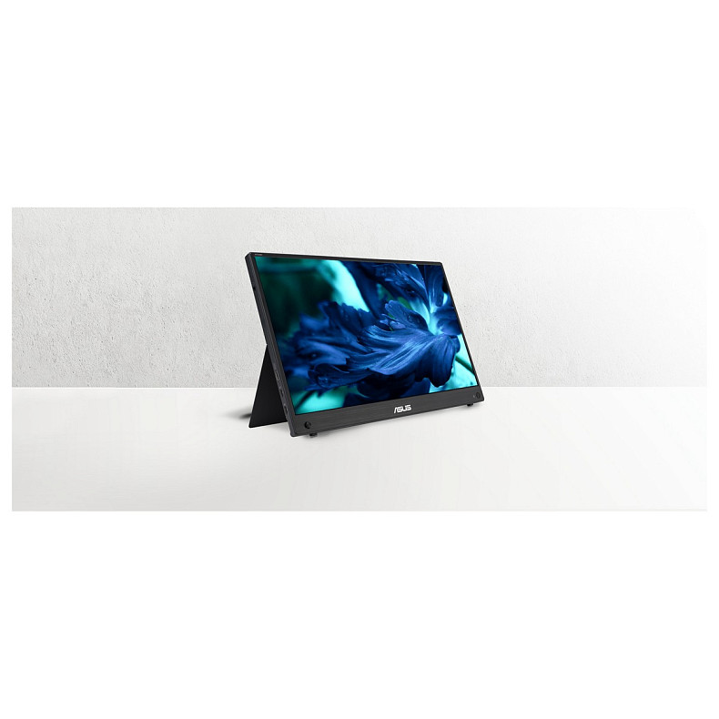 Монитор портативный Asus 15.6" ZenScreen MB16AHG (90LM08U0-B02170)