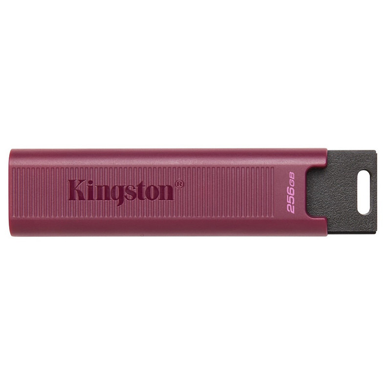 Накопичувач Kingston 256GB USB 3.2 Type-A Gen 2 DT Max