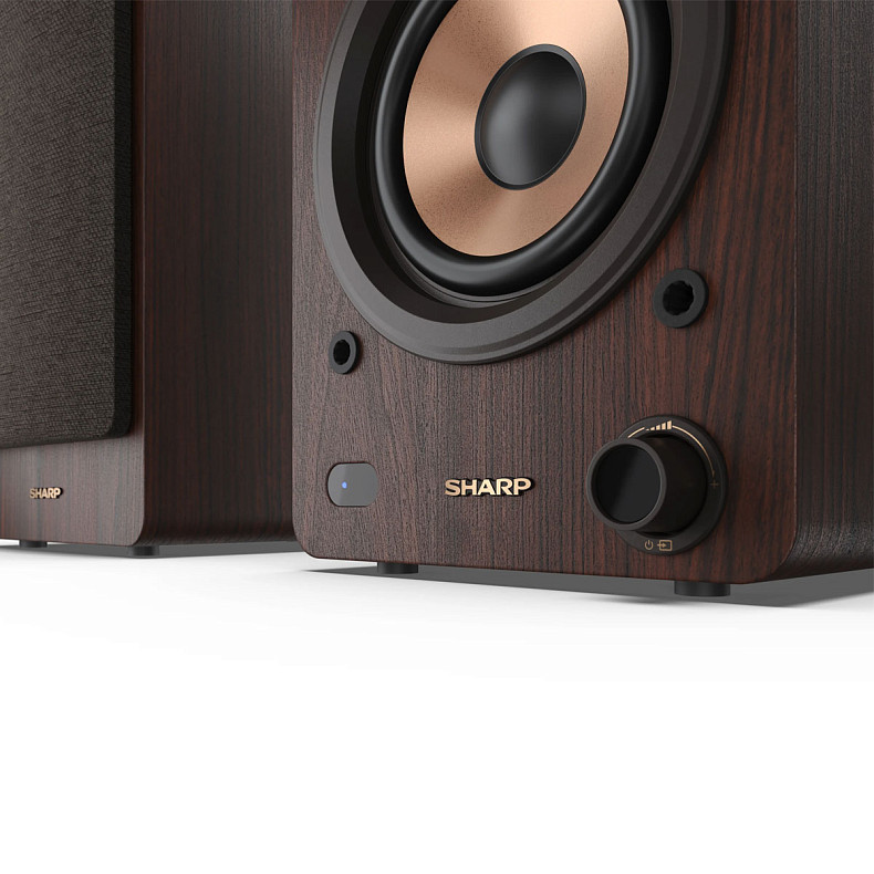 Акустические колонки Sharp CP-SS30 Brown