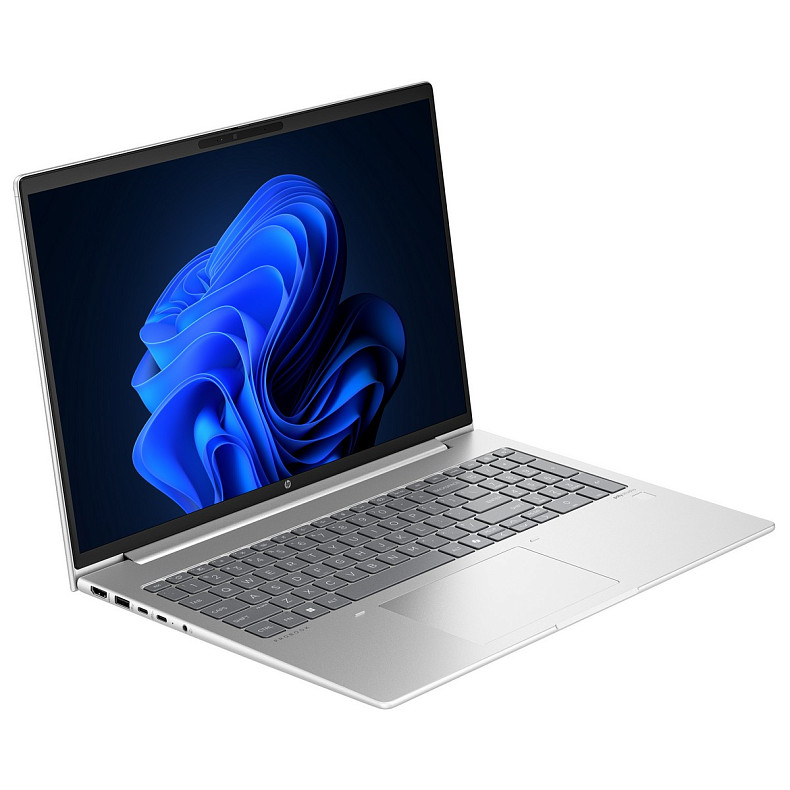 Ноутбук HP ProBook 465 G11 (901H4AV_V1) Silver