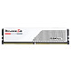 ОЗУ G.Skill Ripjaws S5 DDR5 2x16GB 5600MHz White (F5-5600J4040C16GX2-RS5W)