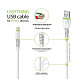 Кабель Intaleo CBFLEXL0 USB-Lightning 0.2м White (1283126487439)