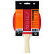 Ракетка для настольного тенниса Stiga Evolve FL (1211-8318-01)
