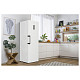 Холодильник Gorenje R619EAW6