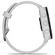 Спортивные часы GARMIN Forerunner 165 Music Mist Gray/Whitestone