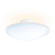 Смарт-світильник Philips COL-Phoenix-ceiling lamp-Opal white 31151/31/PH