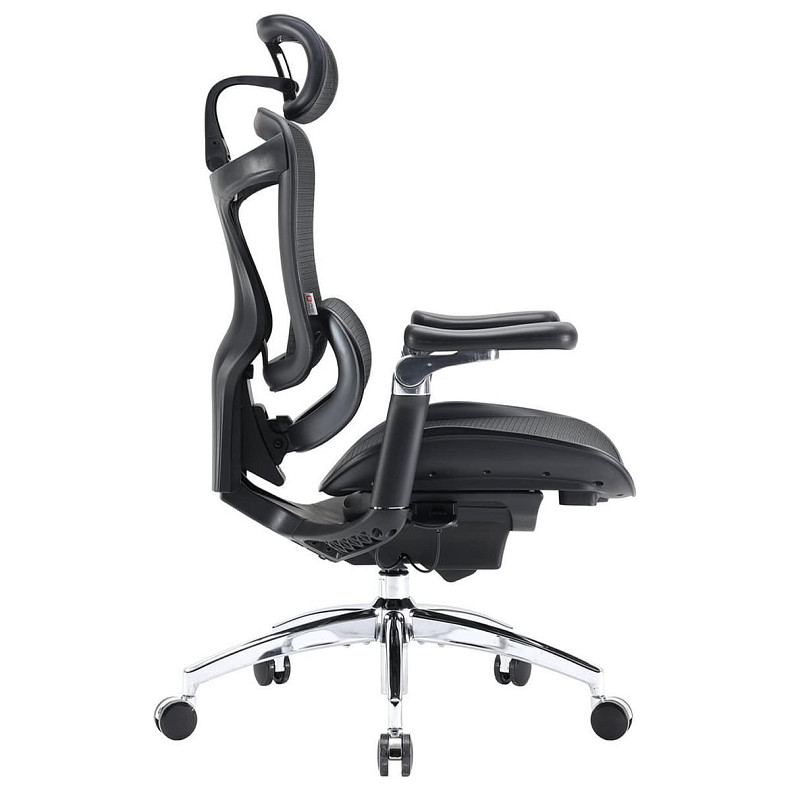 Крісло офісне Sihoo DORO C300 Pro Mesh Black