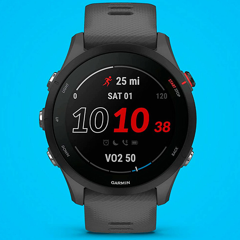 Спортивний годинник Garmin Forerunner 255 Slate