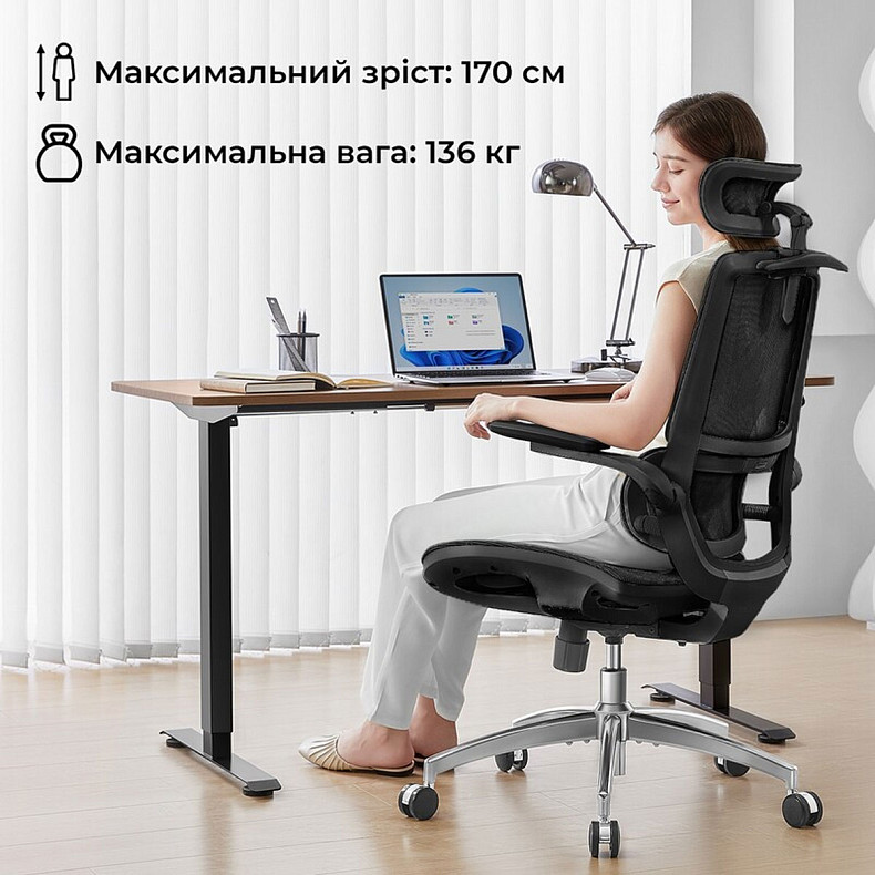Крісло офісне Sihoo M59AS Mesh Black