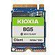 SSD диск Kioxia BG5 M.2 2230 NVMe PCIe 4.0 x4 (KBG50ZNS256G) 256GB