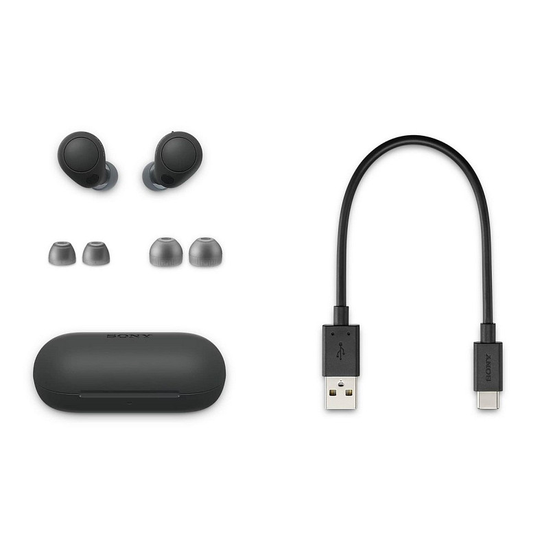 Наушники TWS Sony WF-C700N BT 5.2, ANC, IPX4, SBC, AAC, Mic, Черный