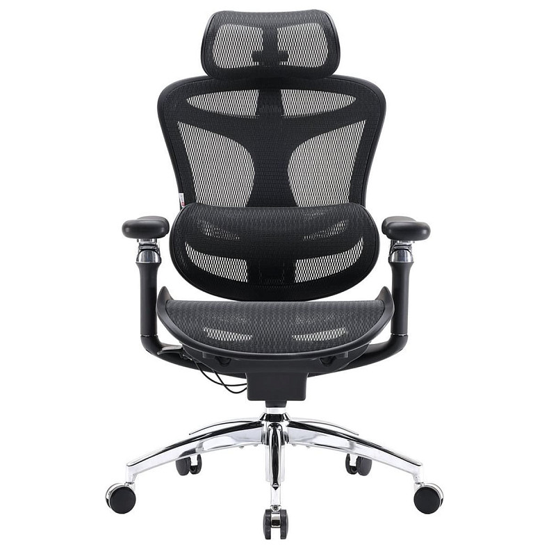 Крісло офісне Sihoo DORO C300 Pro Mesh Black