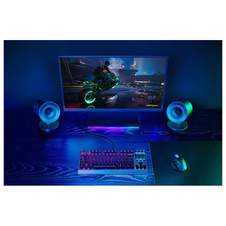 Акустическая система Razer Nommo V2 X USB-A, черный