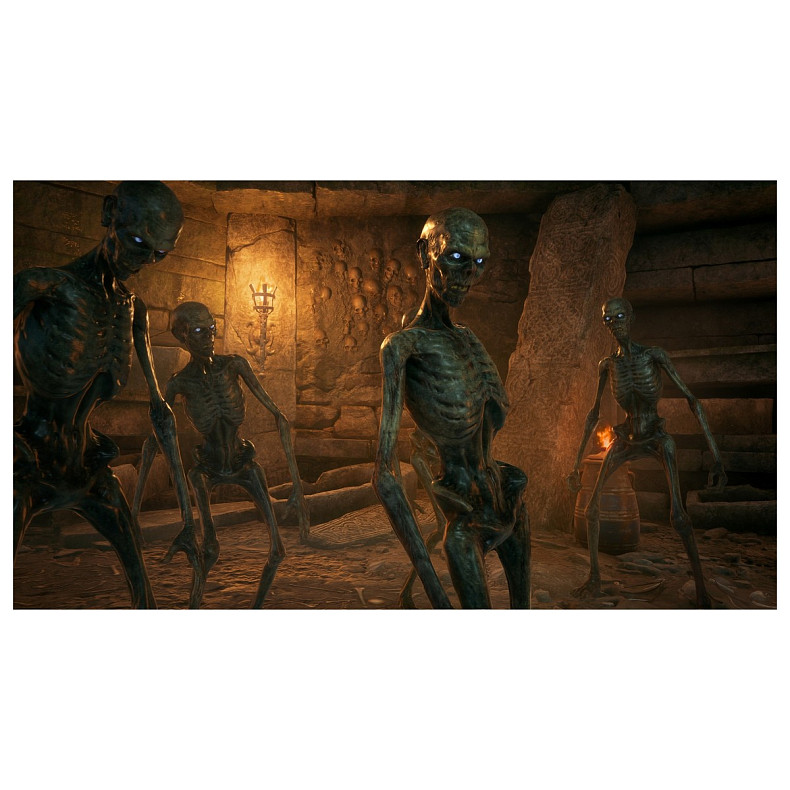 Игра консольная PS5 Hogwarts Legacy