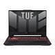 Ноутбук ASUS TUF Gaming A15 FA507NU-LP101 (90NR0EB5-M00AE0) Mecha Gray