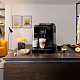 Кавомашина DeLonghi ECAM 290.51.B