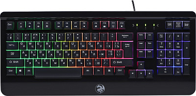 Клавиатура игровая 2E Gaming KG320 LED USB Black (2E-KG320UB)