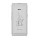 Електронна книга BOOX Palma 3 Titanium Gray