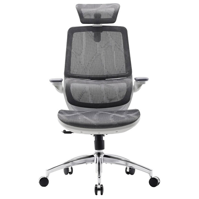 Крісло офісне Sihoo M59AS Mesh Gray