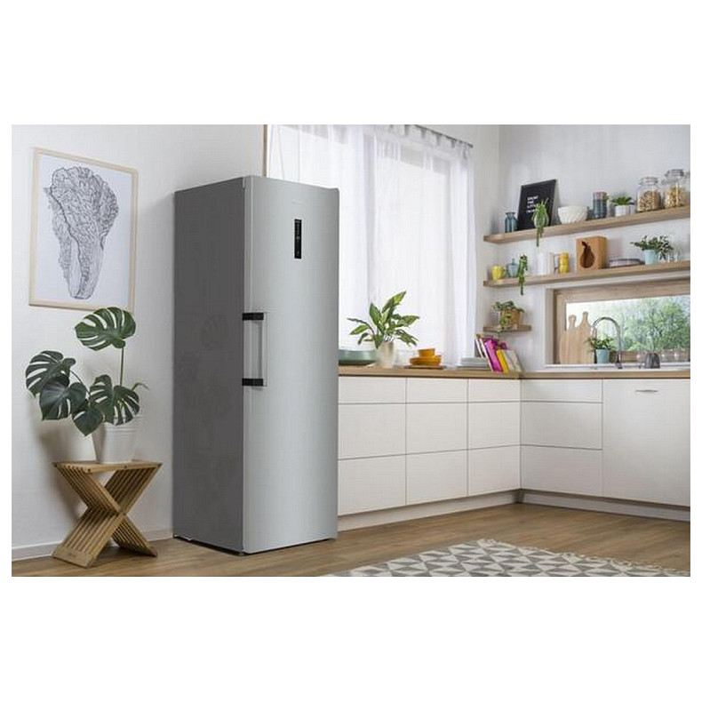 Морозильна камера Gorenje FN619EAXL6