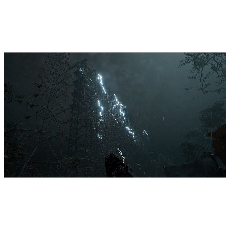 Игра консольная PS5 S.T.A.L.K.E.R. 2