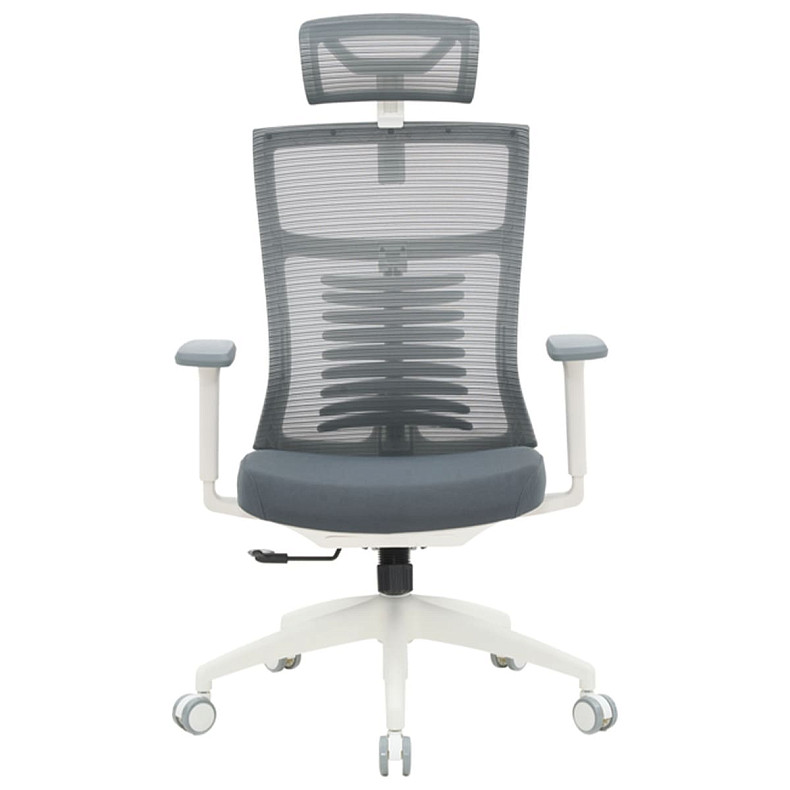 Офисное кресло OfficePro Balance OC550-W-DG-DG