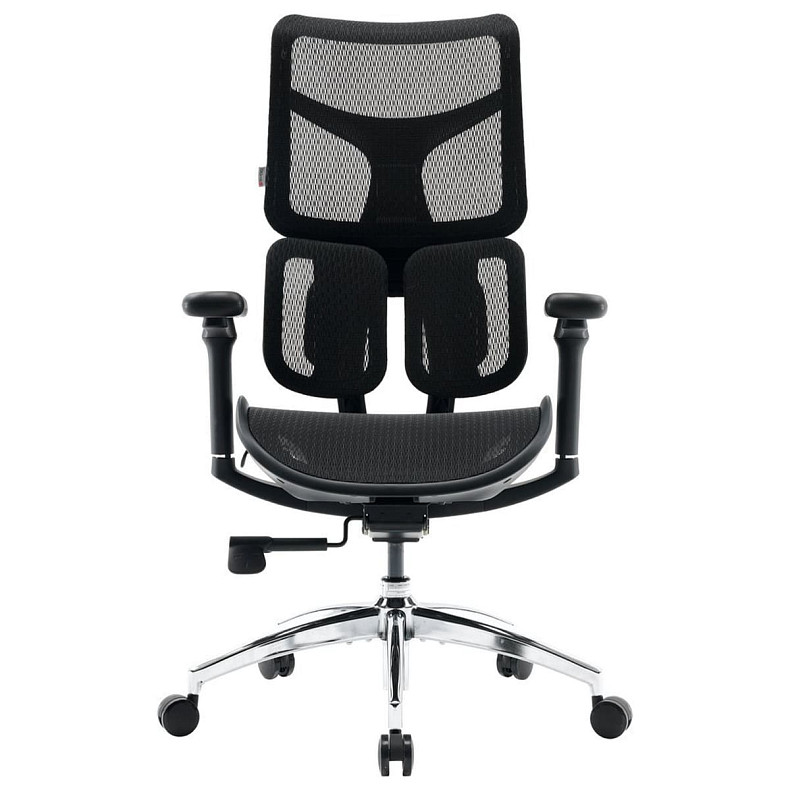 Крісло офісне Sihoo DORO S100 Mesh Black