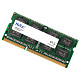 ОЗП Netac 8 GB SO-DIMM DDR3L 1600 MHz (NTBSD3N16SP-08)