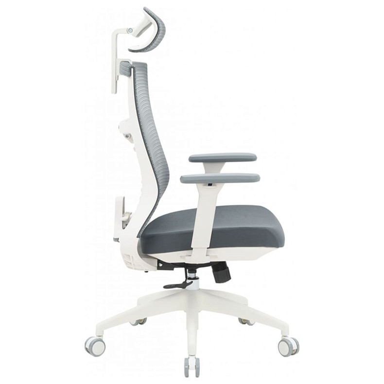 Офисное кресло OfficePro Balance OC550-W-DG-DG