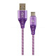 Кабель Cablexpert (CC-USB2B-AMCM-2M-PW), USB2.0 - USB Type C, 2м, Purple/White