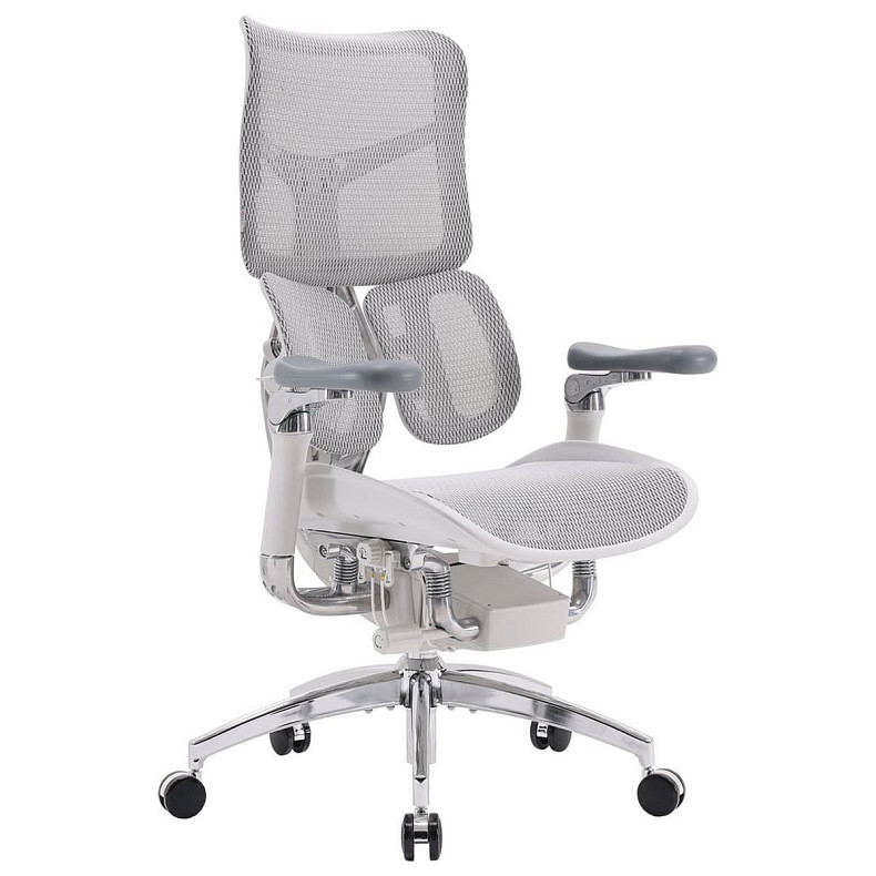 Крісло офісне Sihoo DORO S300 Mesh Light Grey