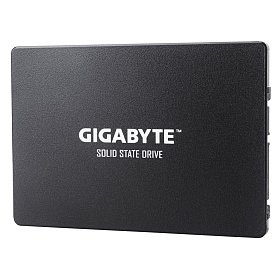 SSD диск Gigabyte 1TB (GP-GSTFS31100TNTD)
