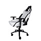 Крісло для геймерів 1stPlayer DK2 Black-White