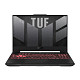 Ноутбук Asus TUF Gaming A15 FA507NUR-LP052 (90NR0JP8-M004R0) Jaeger Gray